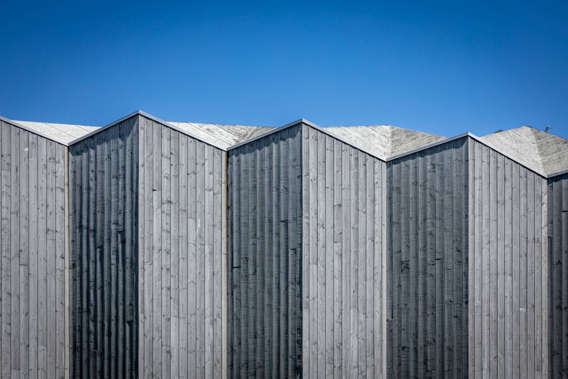 Fassade. Foto: Elia Schneider, 2023