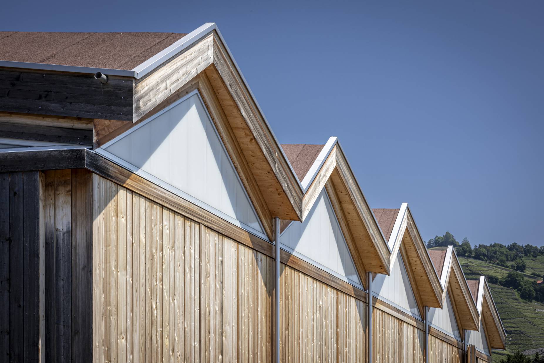 Dachrand. Foto: Elia Schneider, 2023