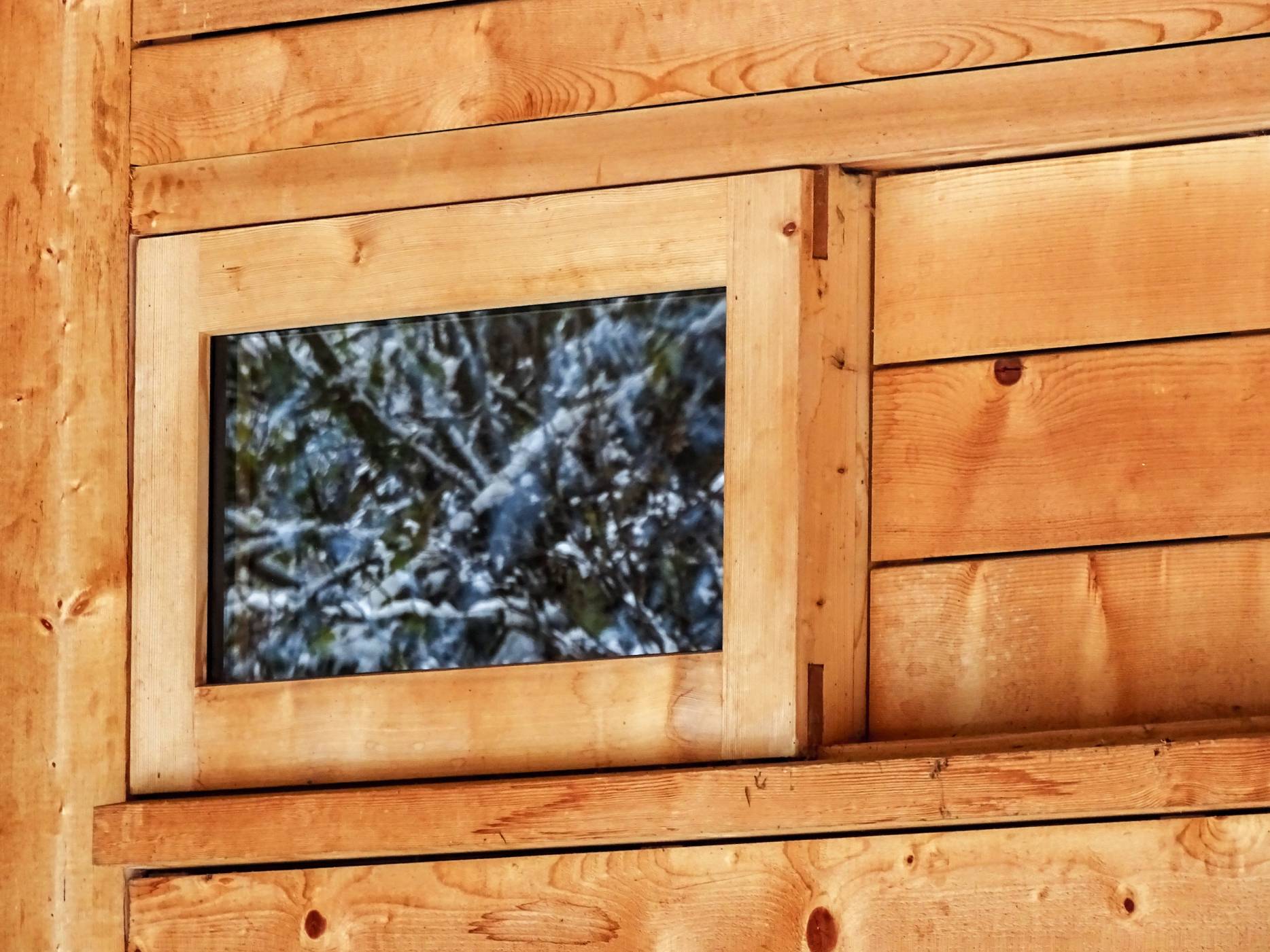 Fenster. Foto: Diego Herrada, 2023