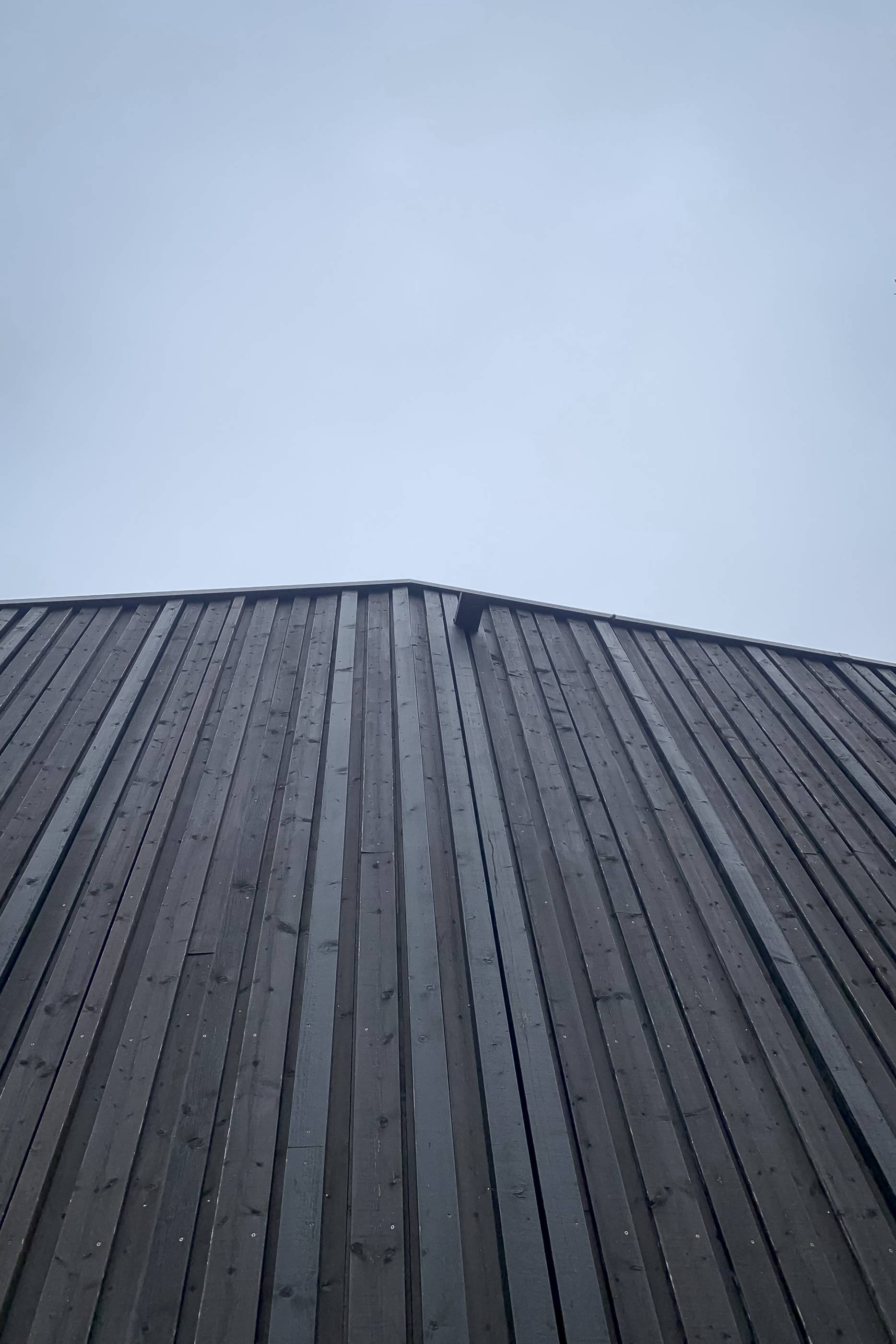 Dachrand. Foto: Nick Berchtold, 2021