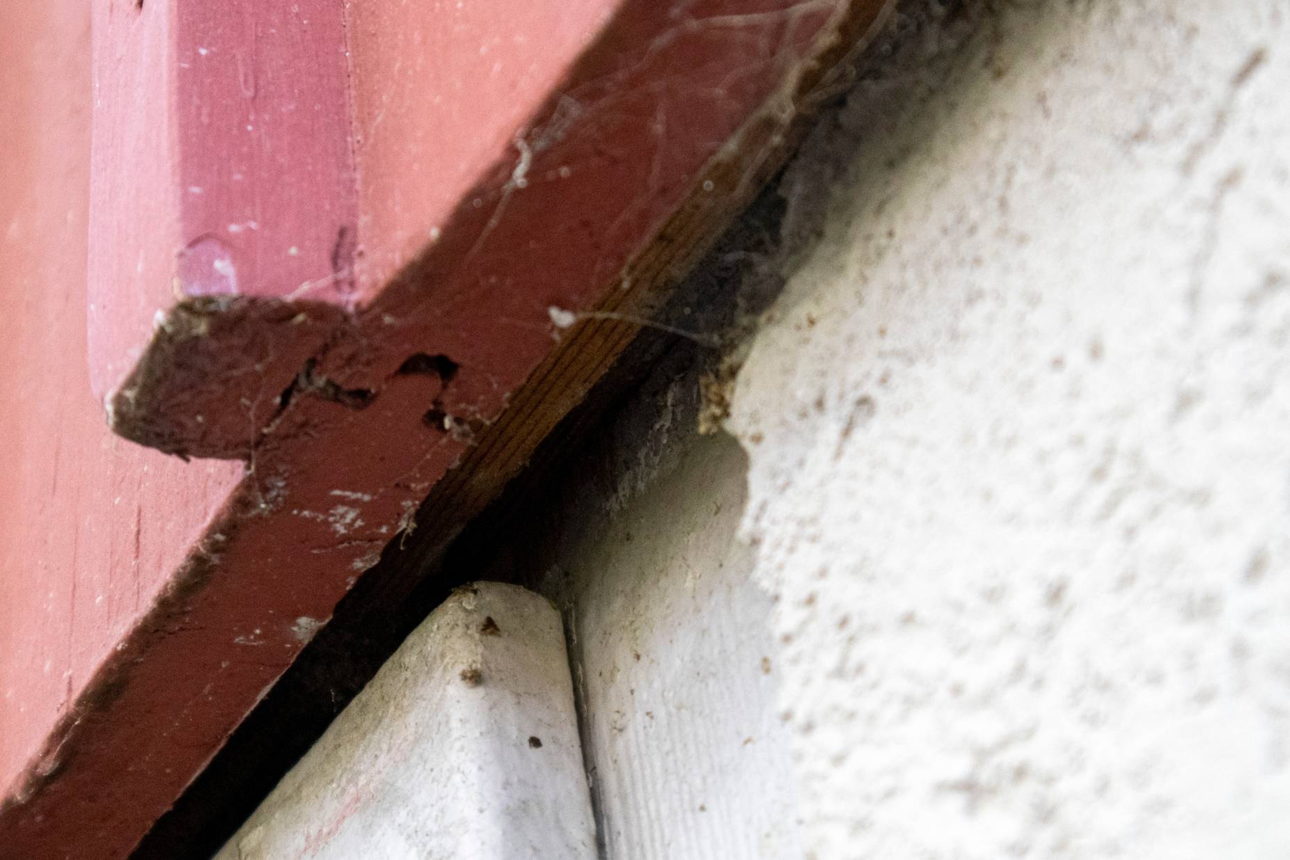 Detail Deckleistenschalung. Foto: Oliver Escobar, 2023