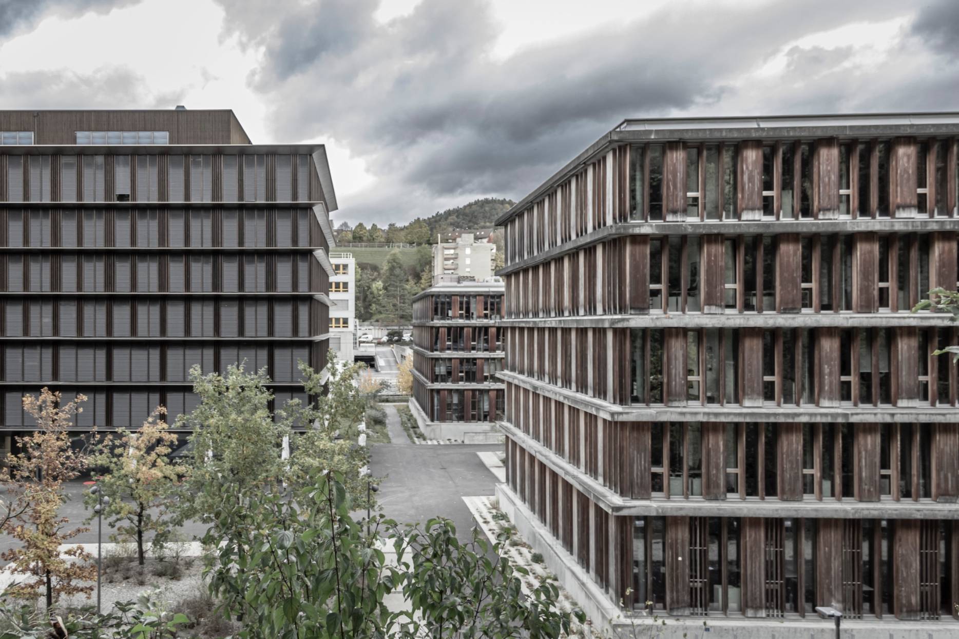 Campus. Foto: Sébastian Mäusli, 2023