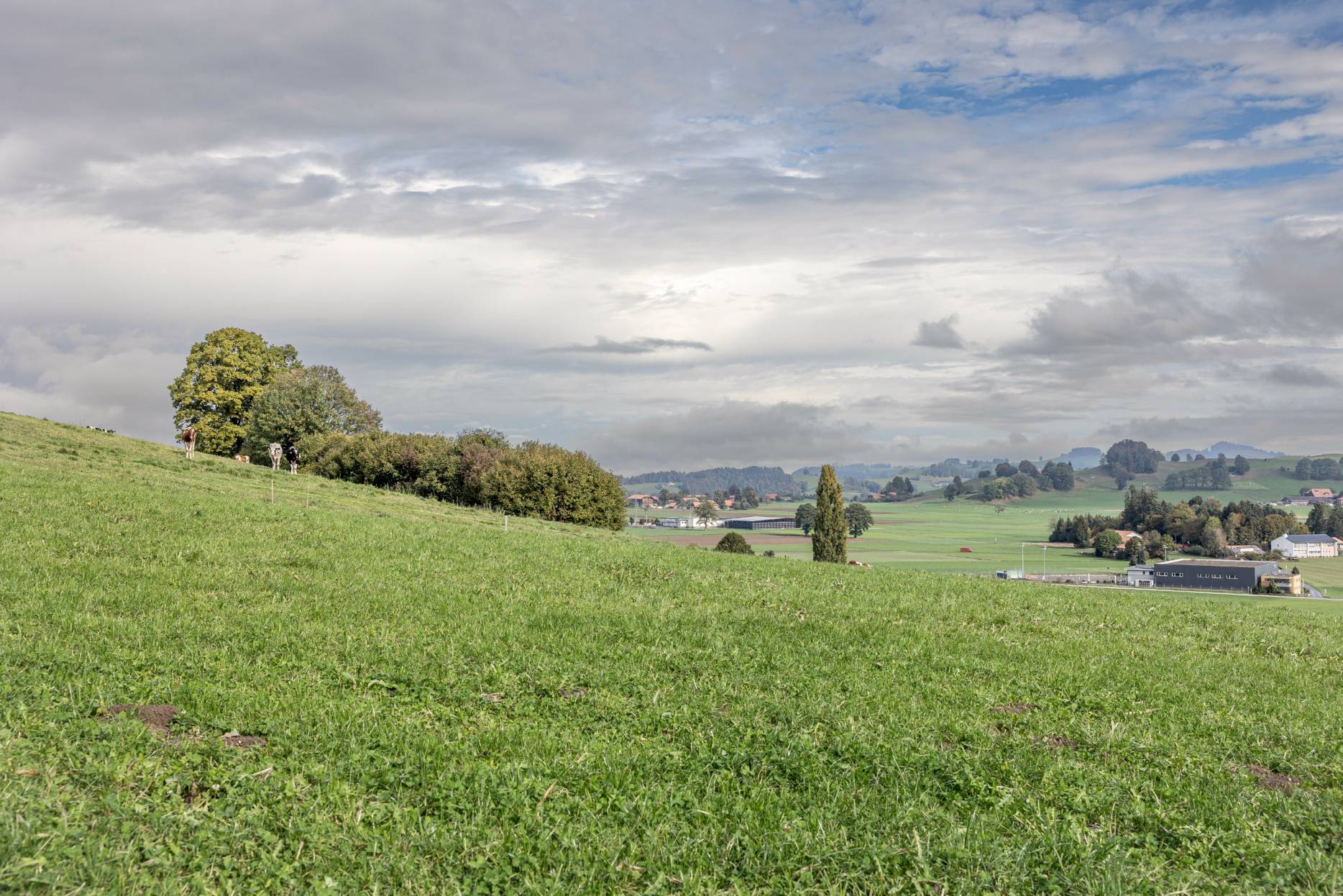 Kontext. Foto: Svenja Zwahlen, 2023