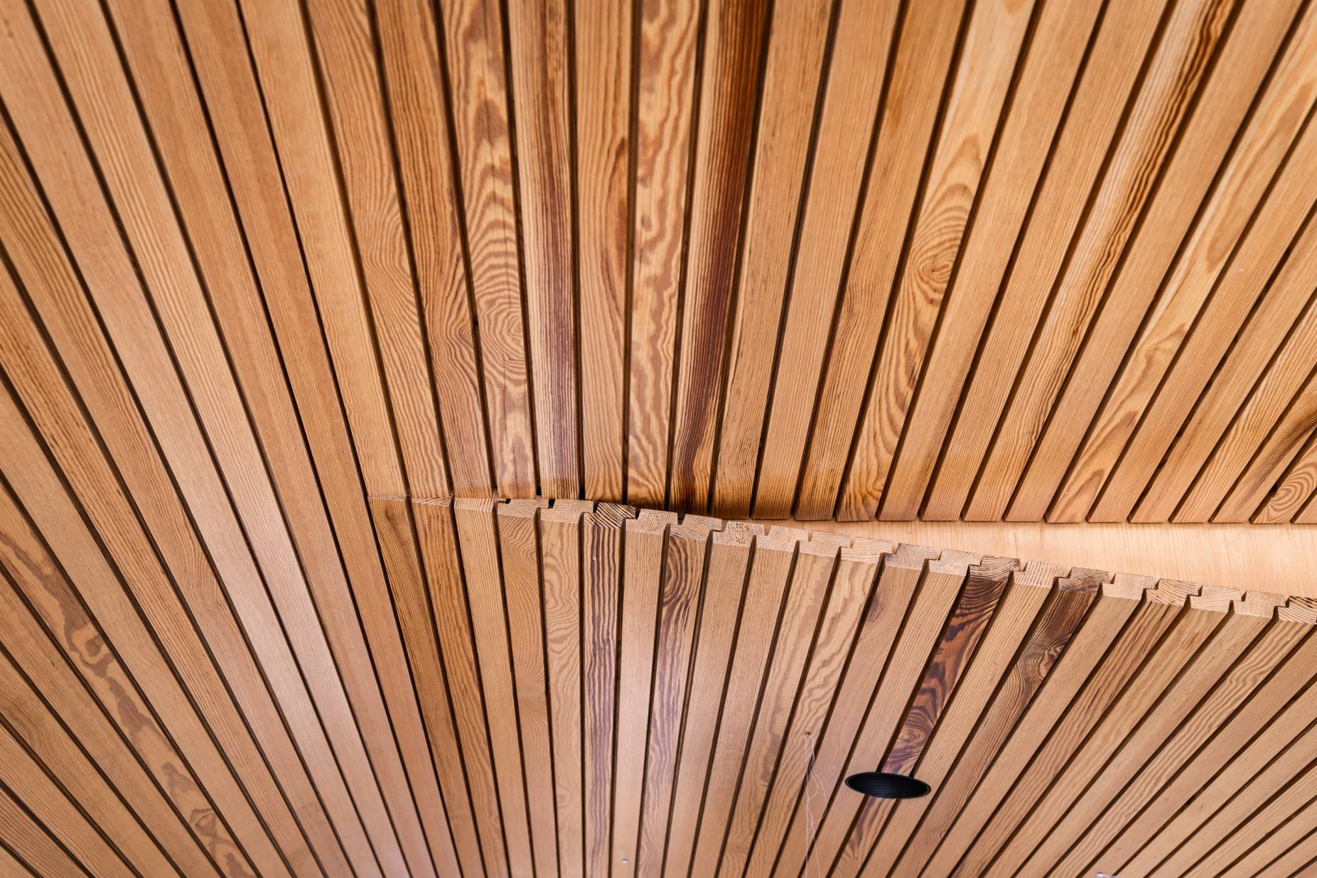 Detail Deckenbekleidung. Foto: Roman Kocher, 2023