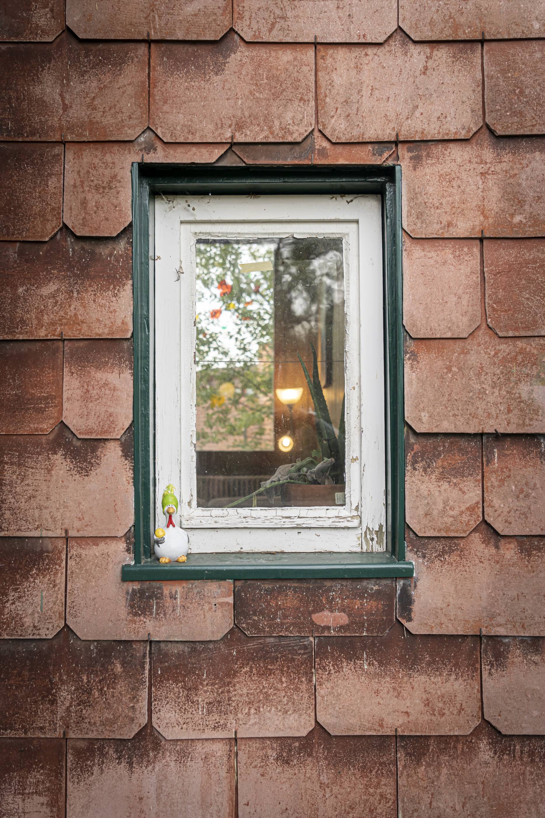 Detail Fenster. Foto: Elia Schneider, 2023