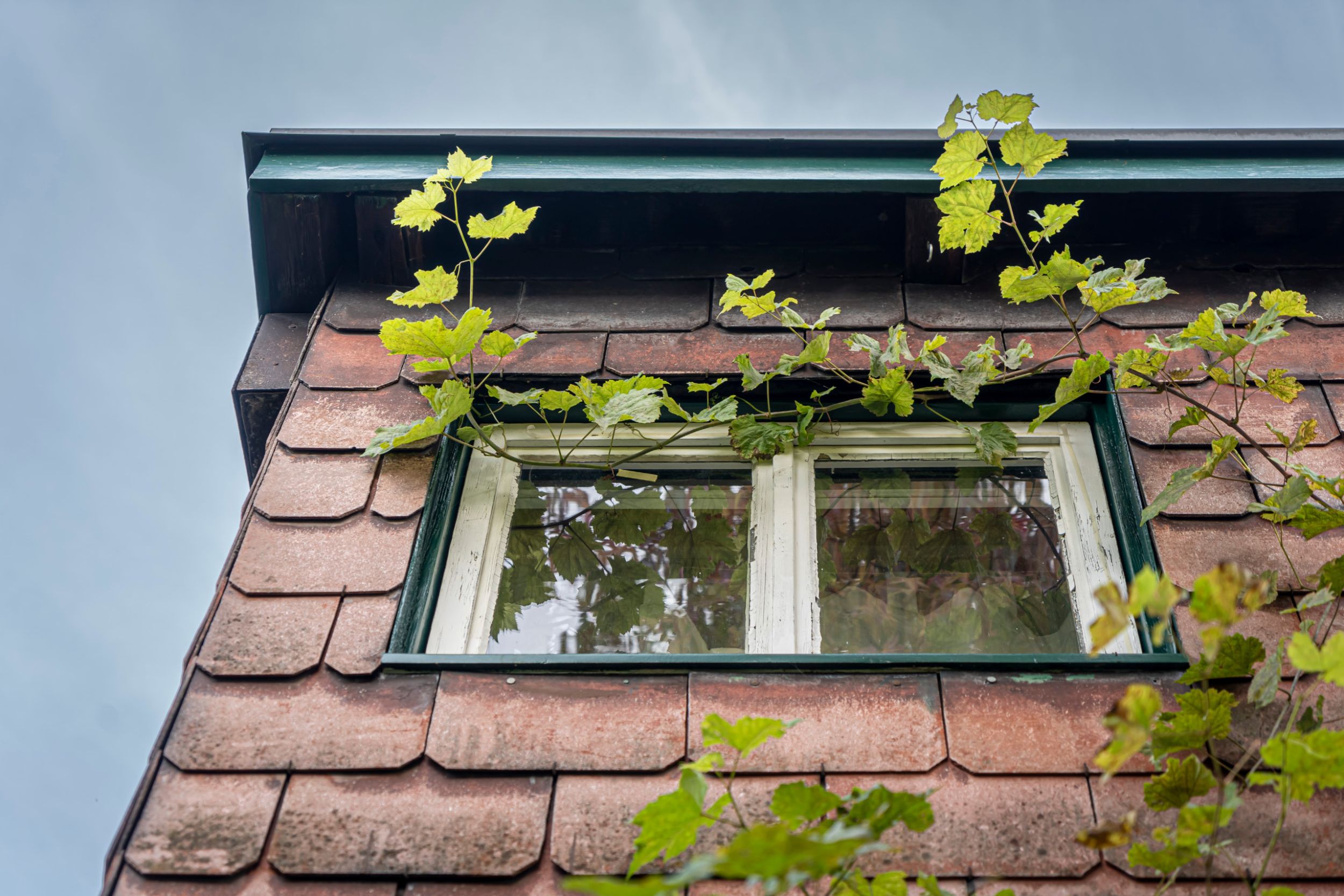 Hausecke. Foto: Elia Schneider, 2023