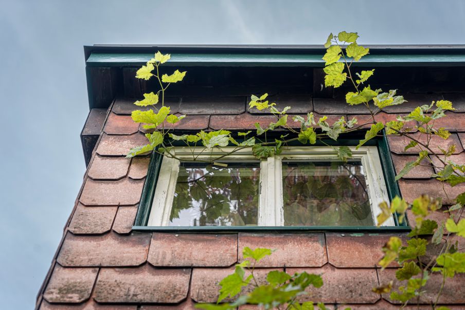 Hausecke. Foto: Elia Schneider, 2023