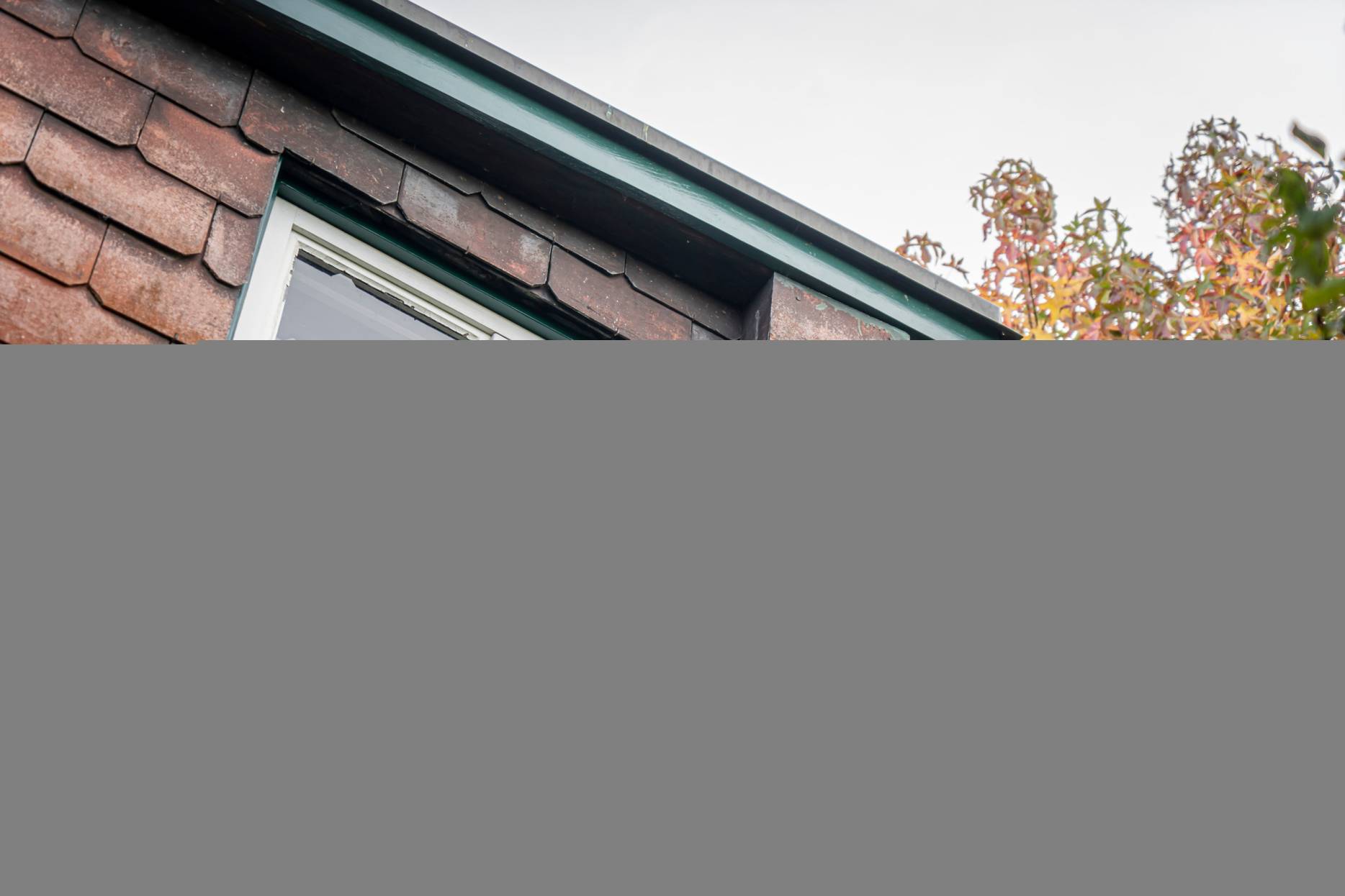 Detail Fenster. Foto: Elia Schneider, 2023