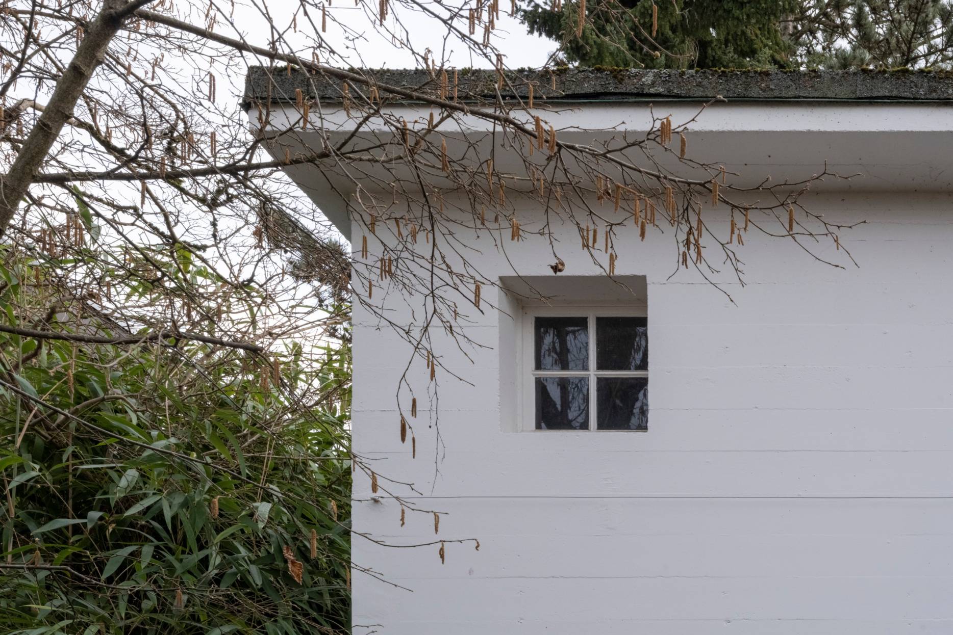 Detail Fassade. Foto: Elia Schneider, 2023