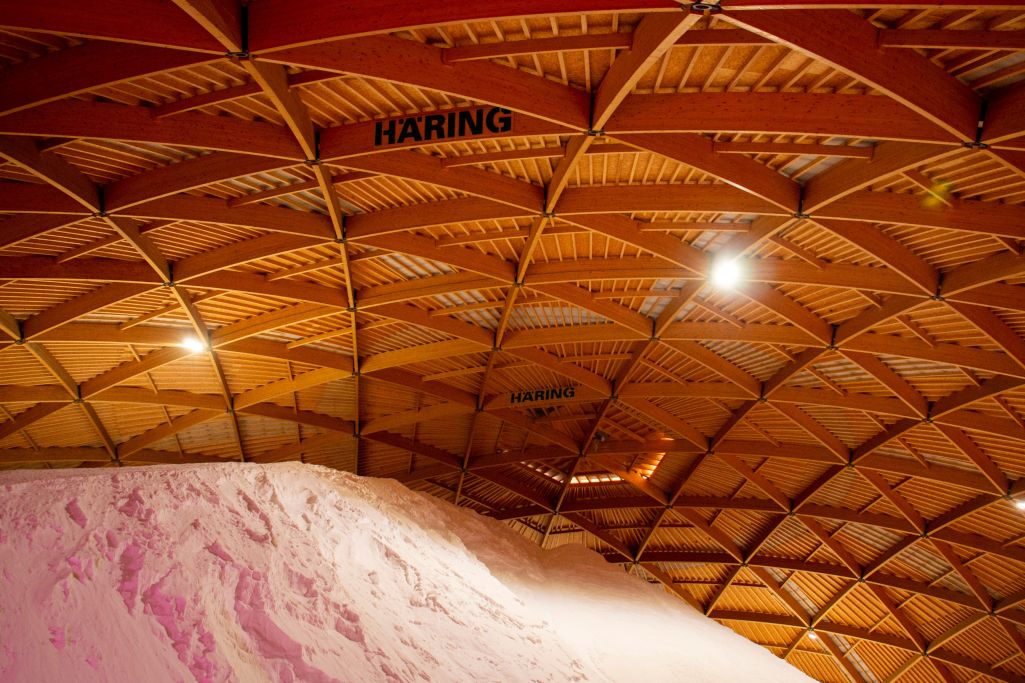 Tragwerk. Foto: Dominik Schütz, 2023