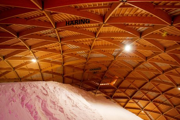 Tragwerk. Foto: Dominik Schütz, 2023