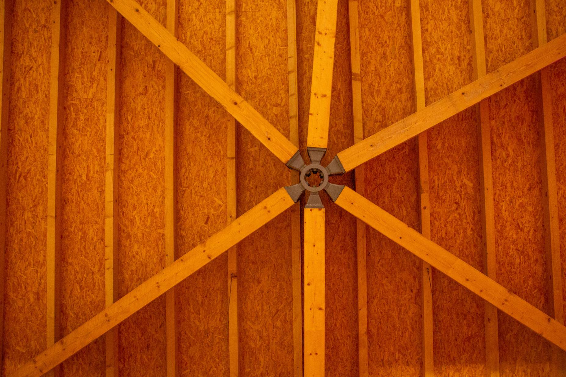 Knoten. Foto: Dominik Schütz, 2023
