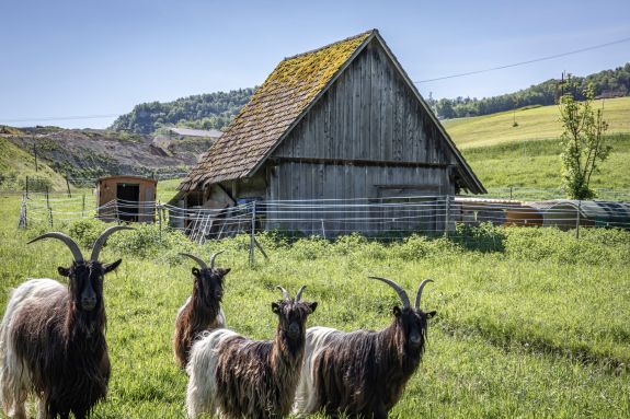 Ansicht Nord. Foto: Elia, Schneider 2024