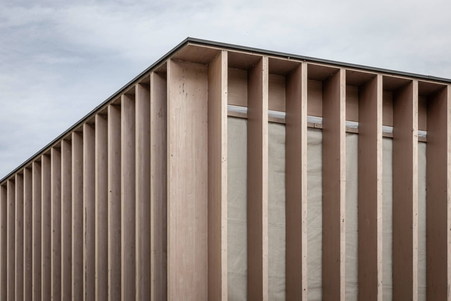 Dachrand. Foto: Elia Schneider, 2024