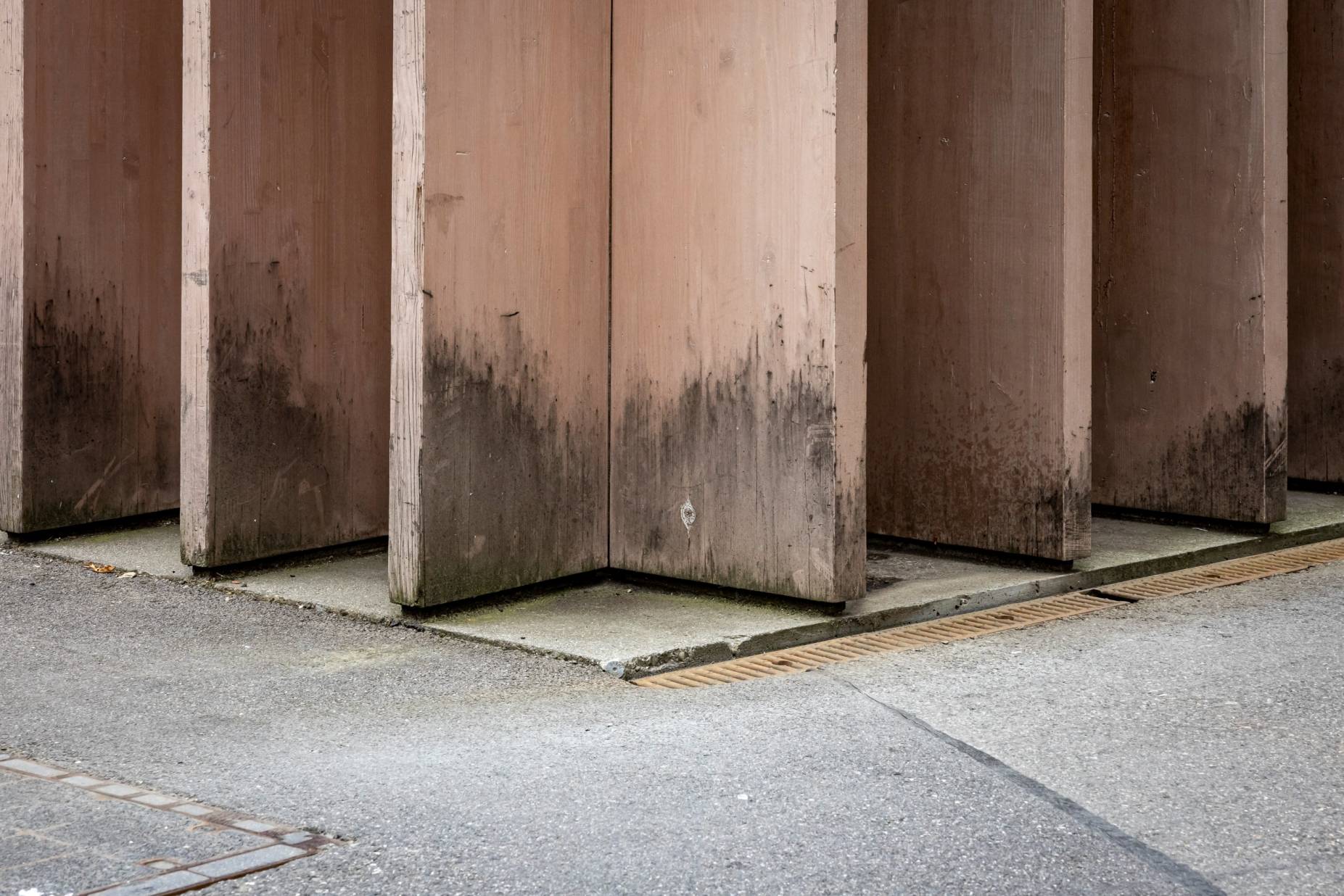 Dachrand. Foto: Elia Schneider, 2024