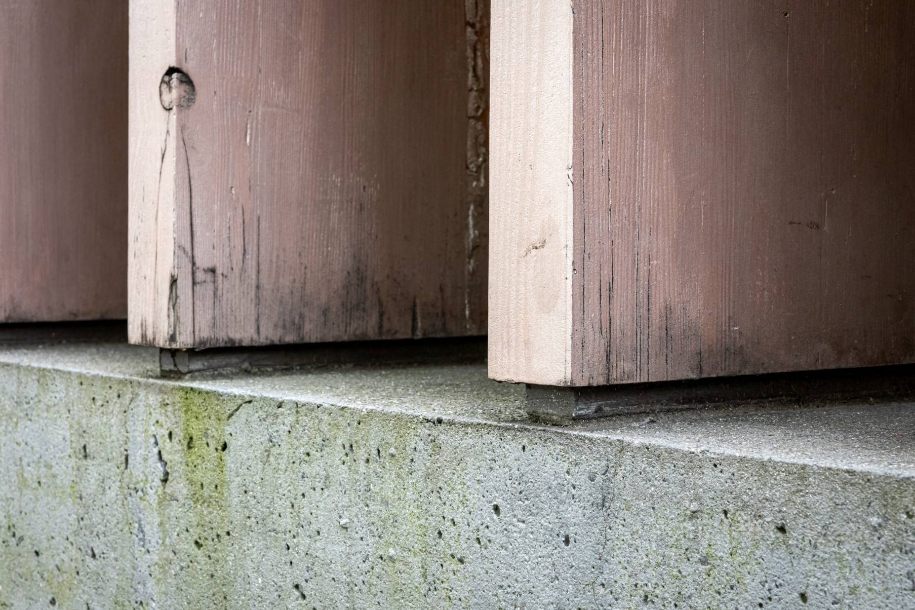 Sockel. Foto: Elia Schneider, 2024