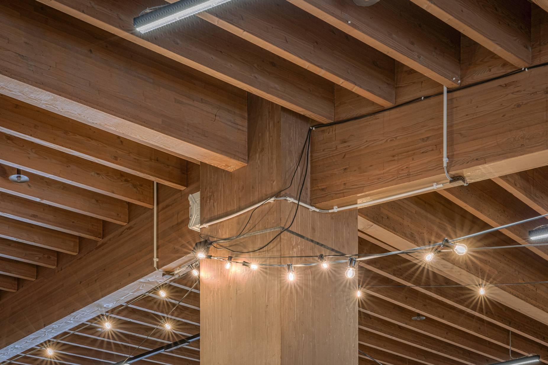 Tragwerk. Foto: Elia Schneider, 2024