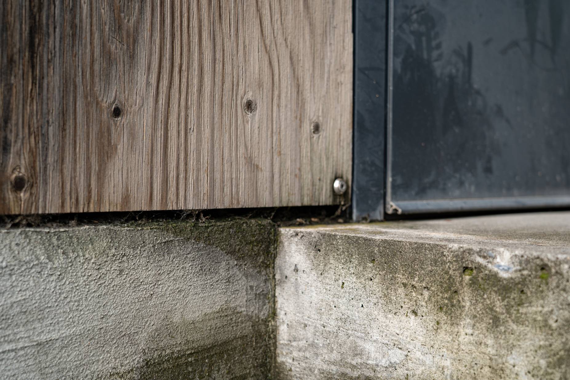 Sockel. Foto: Stefan Hochreuter, 2023