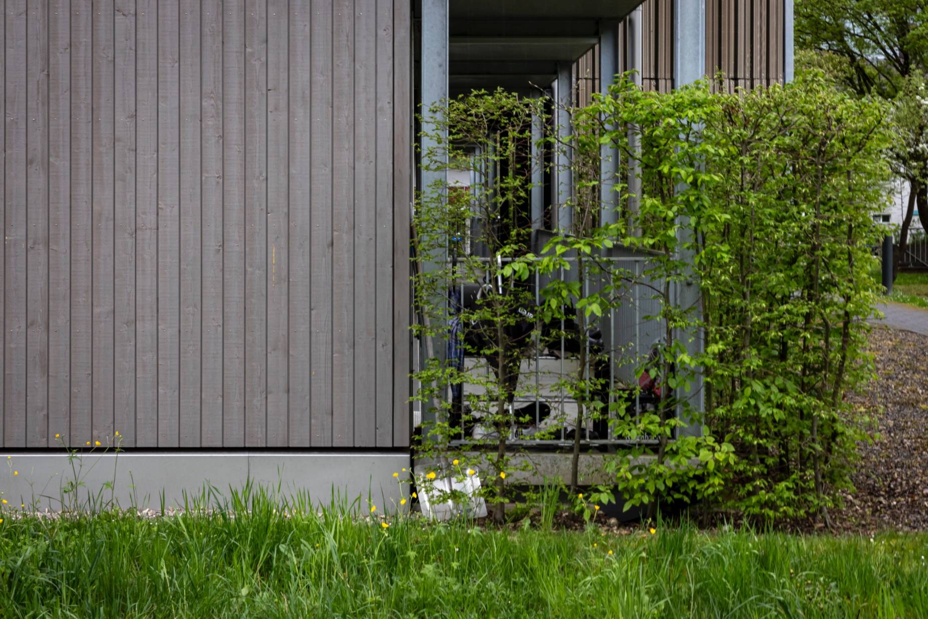 Sockel. Foto: Elia Schneider, 2024