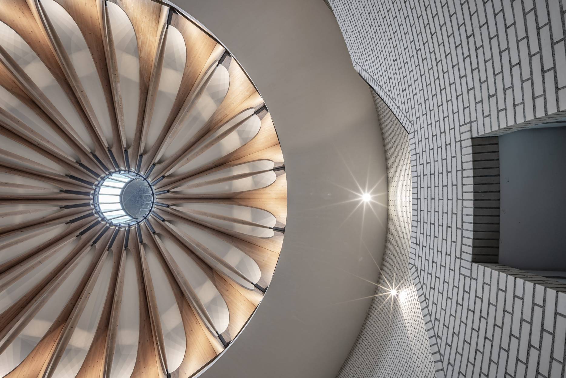 Lichtkuppel. Foto: Elia Schneider, 2024