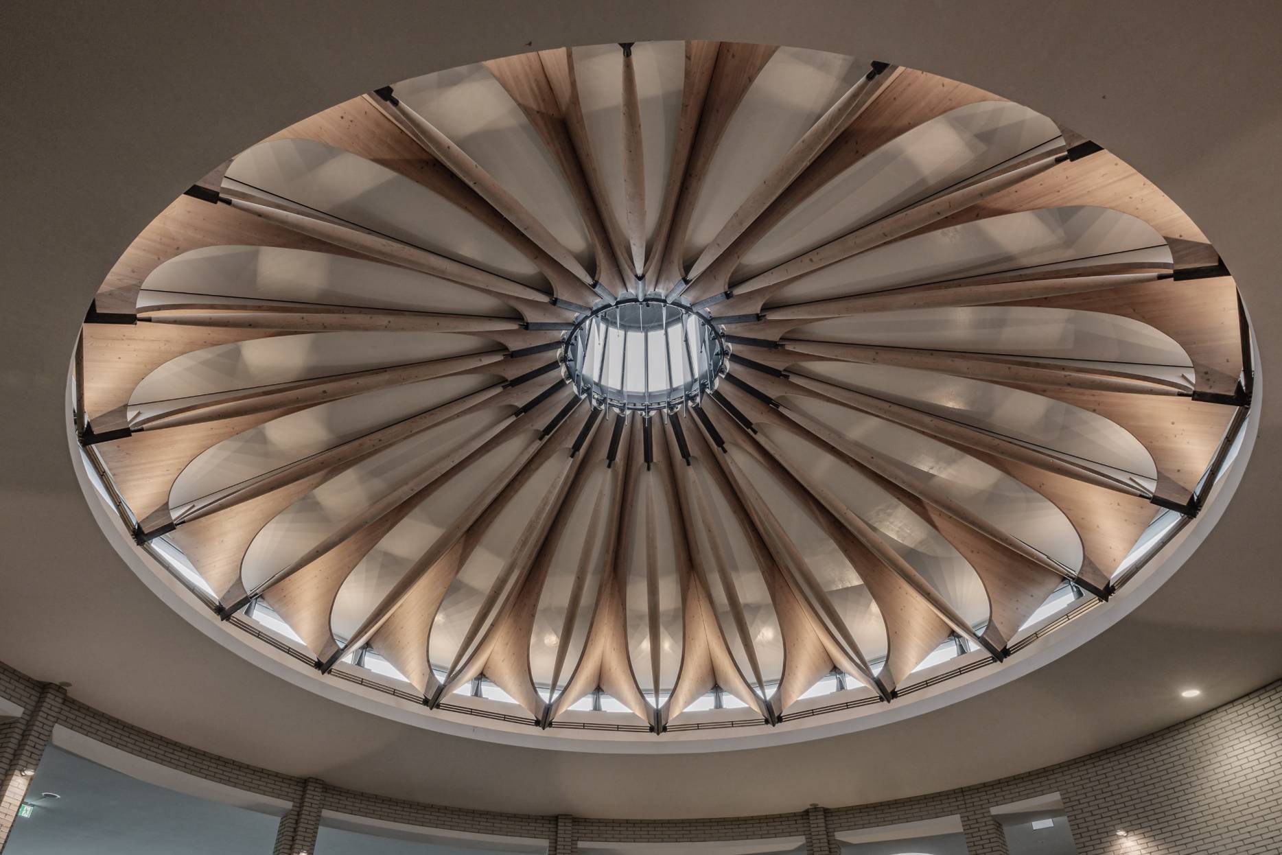 Lichtkuppel. Foto: Elia Schneider, 2024