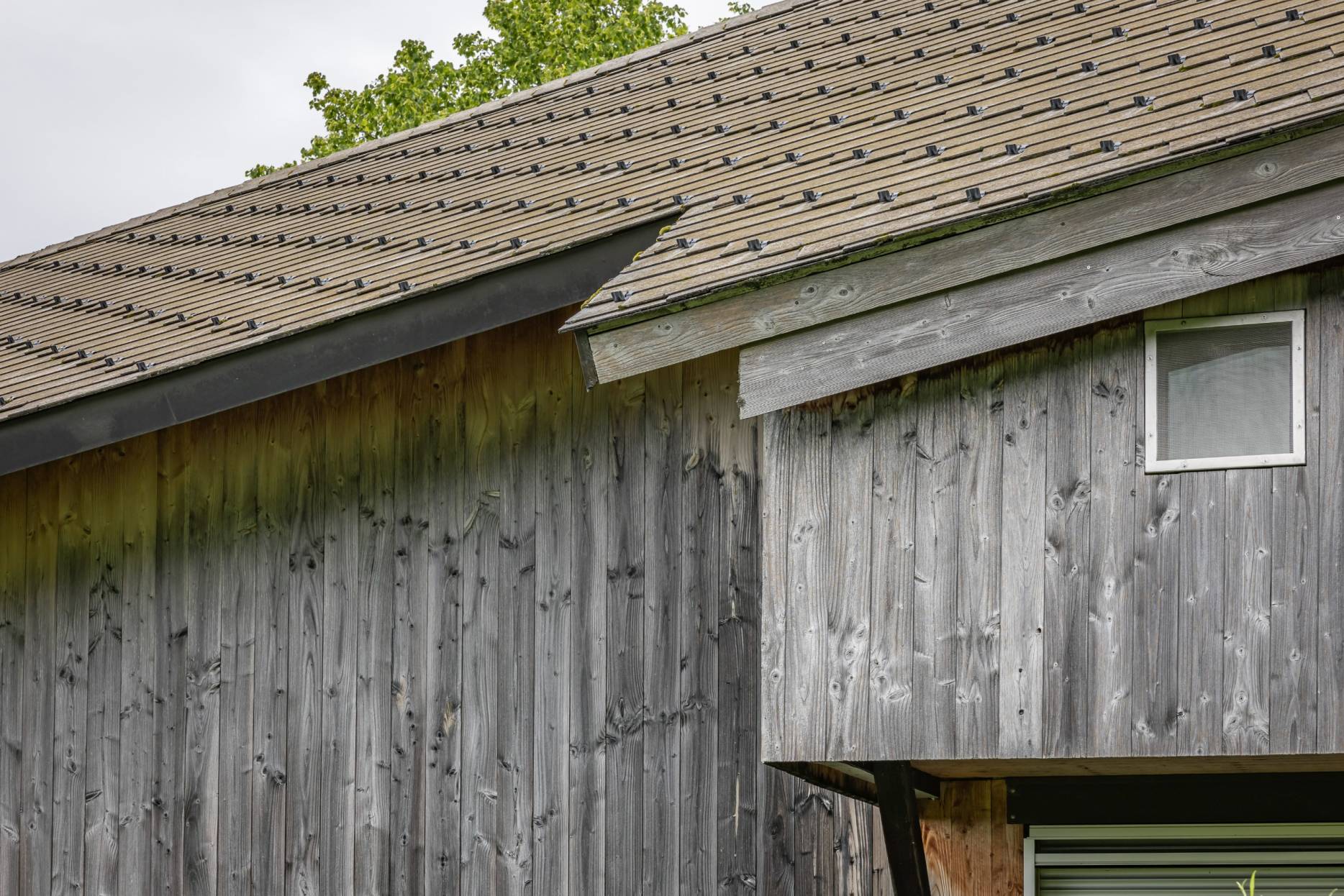 Detail Dach. Foto: Elia Schneider, 2024
