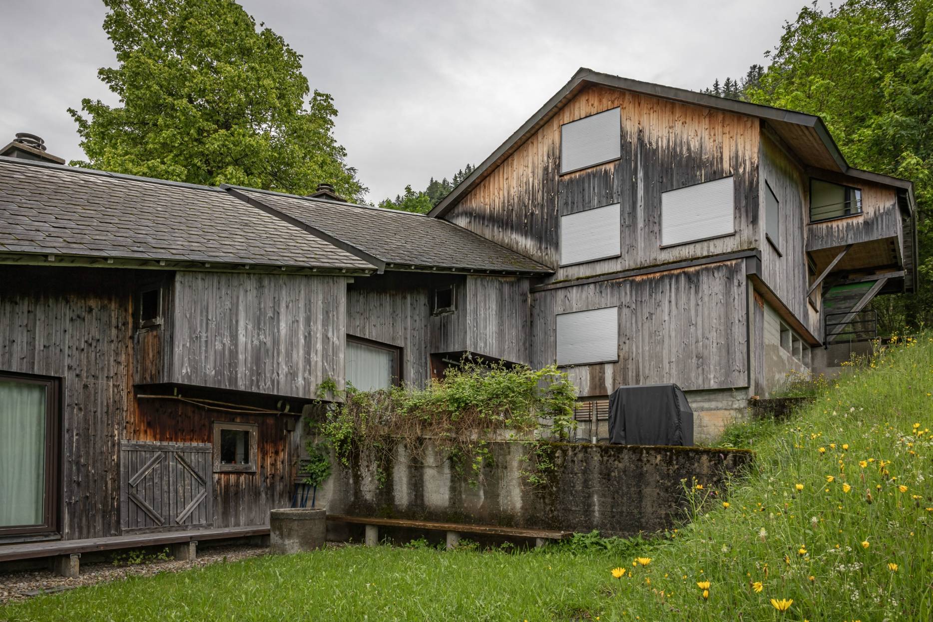 Ansicht Vorgarten. Foto: Elia Schneider, 2024