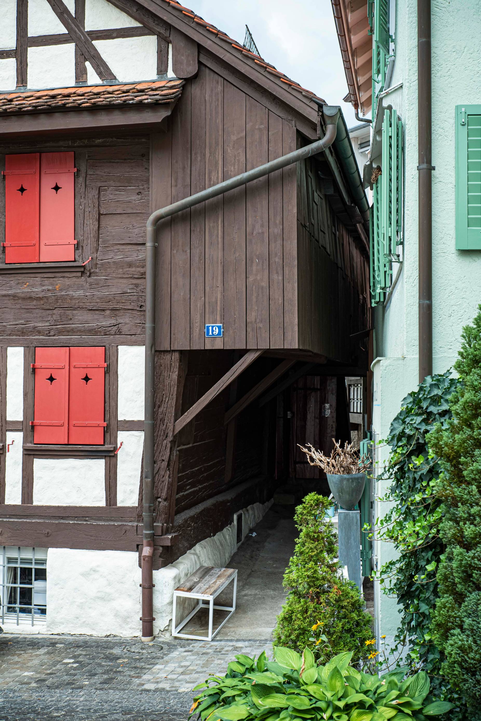 Laube. Foto: Elia Schneider, 2022