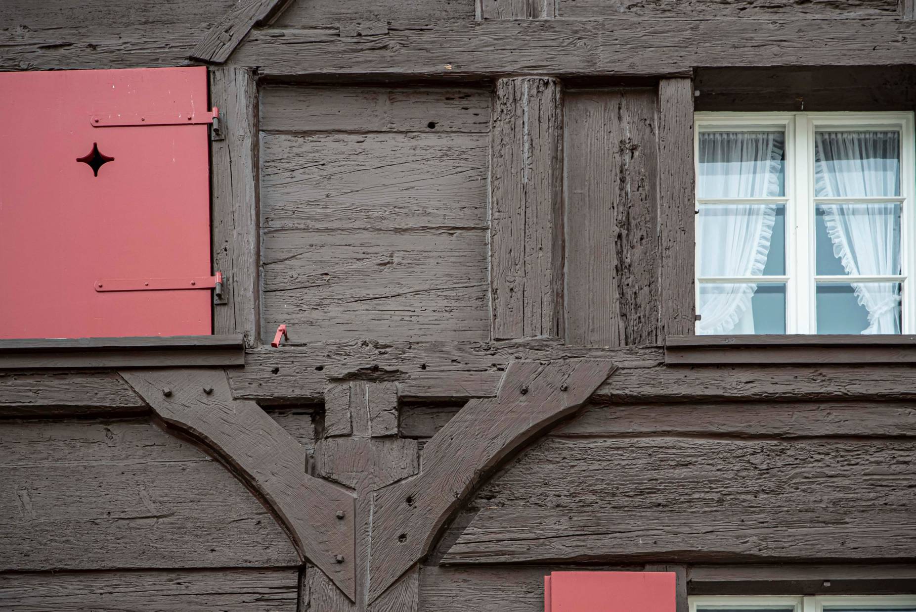 Angeblattete Streben. Foto: Elia Schneider, 2022