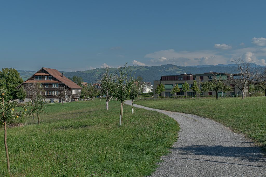 Kontext – Wohnüberbauung Moos (2. Bauetappe) und Ersatzneubau (3. Bauetappe). Foto: Elia Schneider, 2022