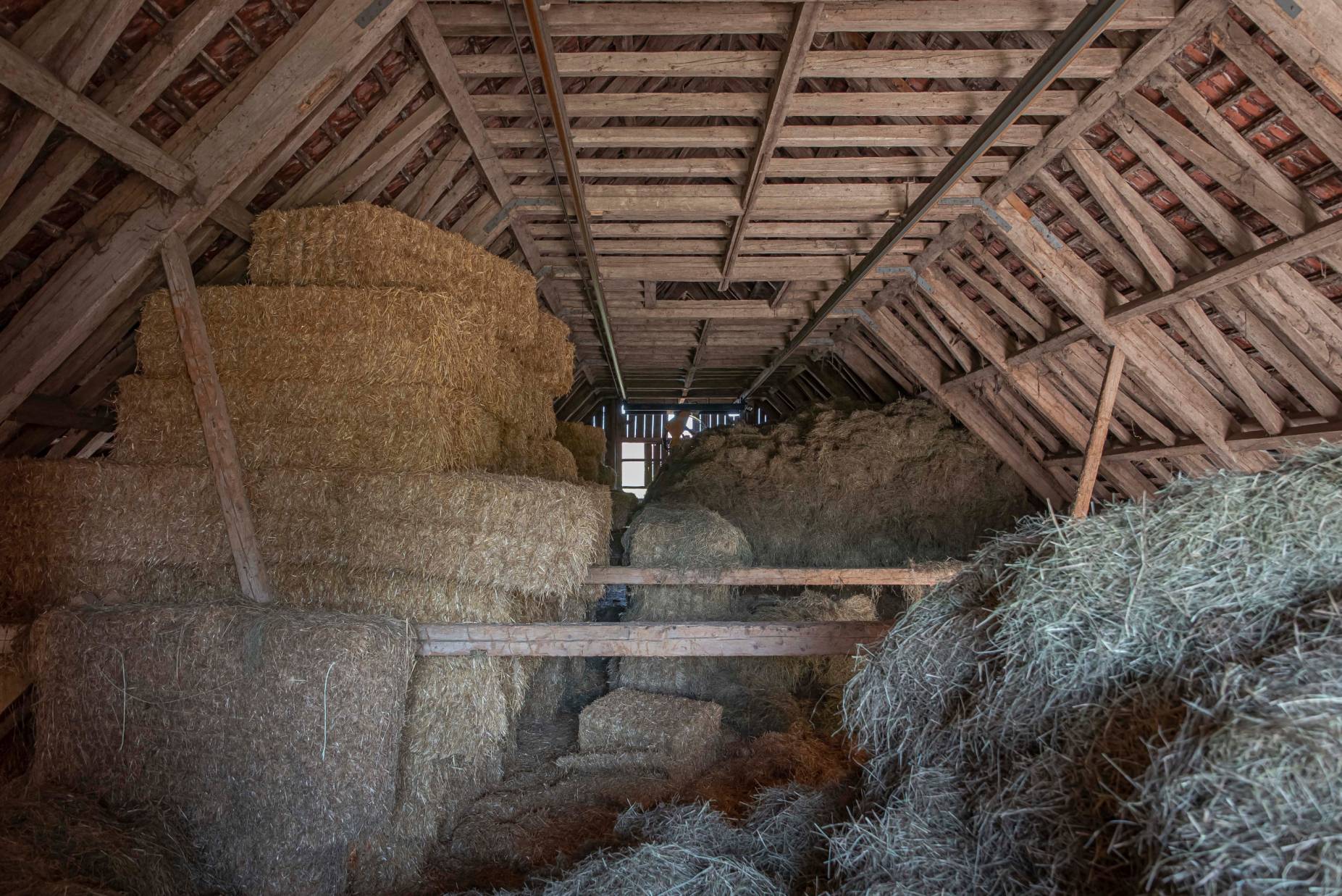 Heuraum. Foto: Elia Schneider, 2022