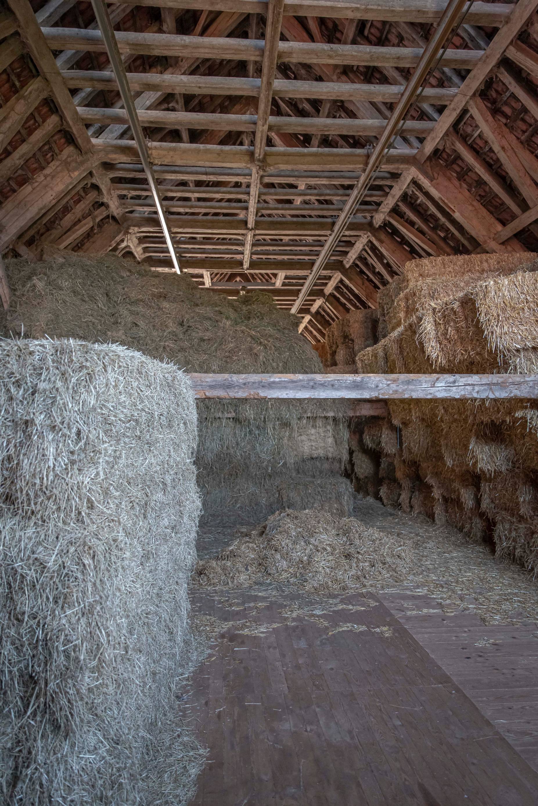 Heuraum. Foto: Elia Schneider, 2022