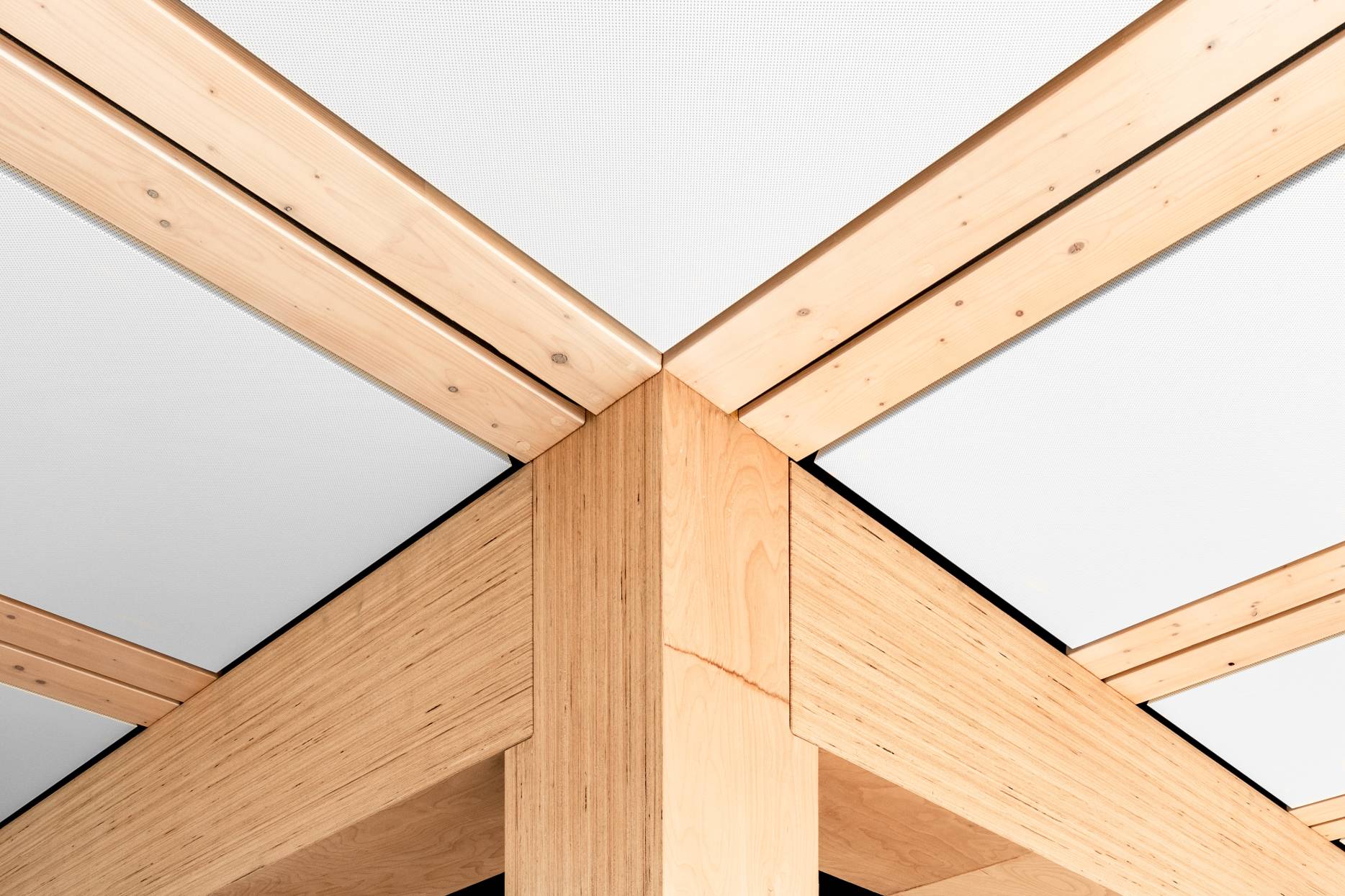 Detail Tragkonstruktion. Foto: Jael Strub, 2019