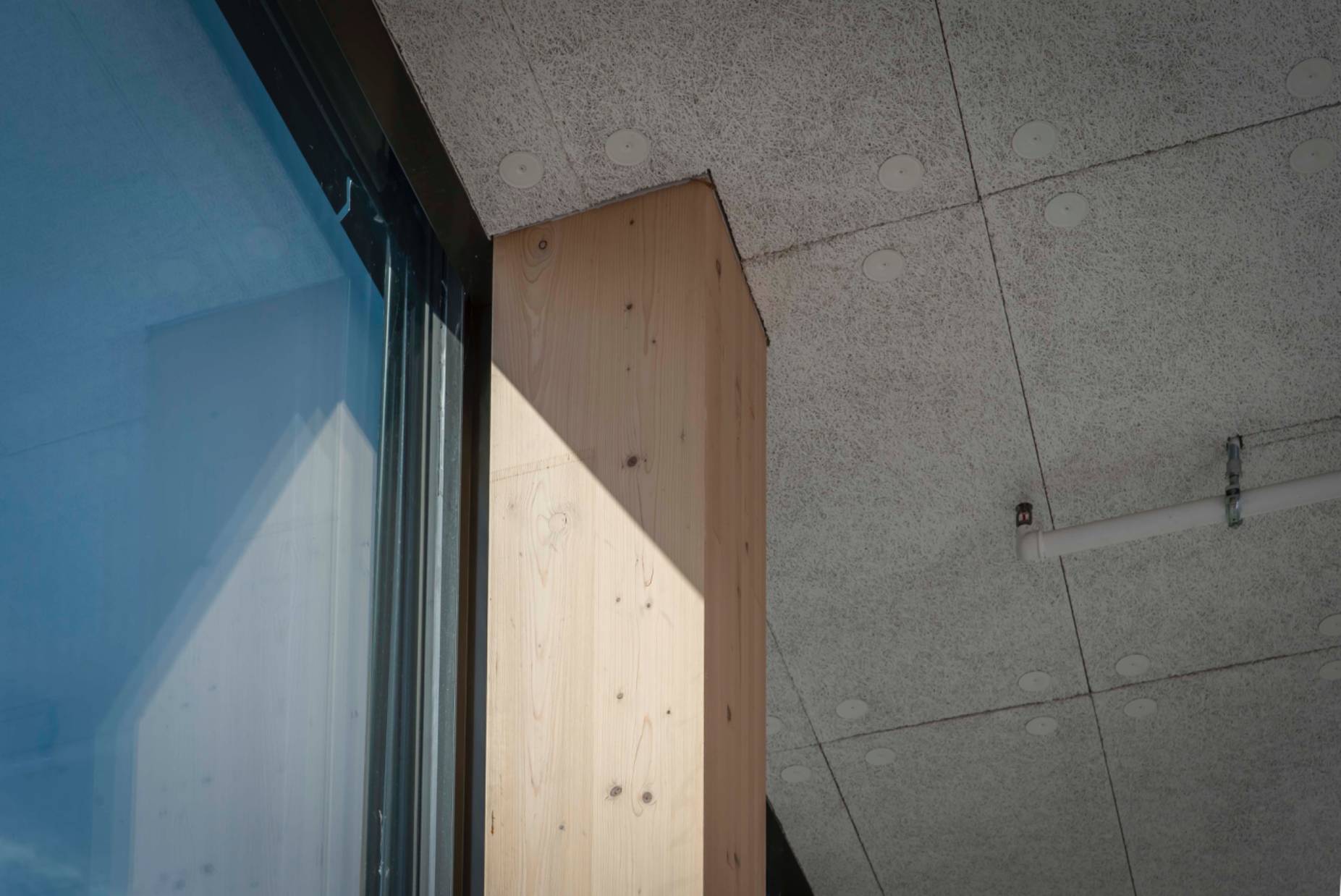 Detail Stütze. Foto: Elia Schneider, 2022