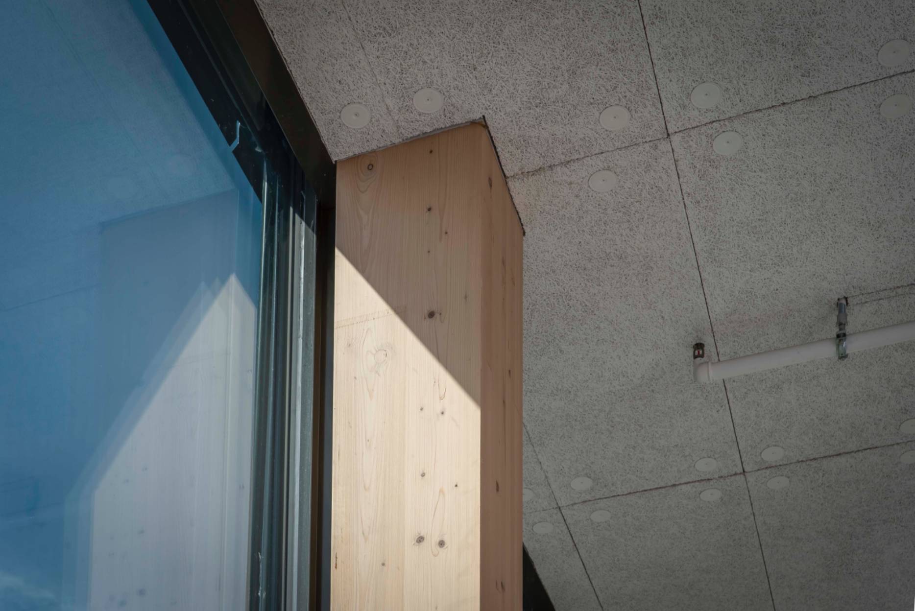 Detail Stütze. Foto: Elia Schneider, 2022