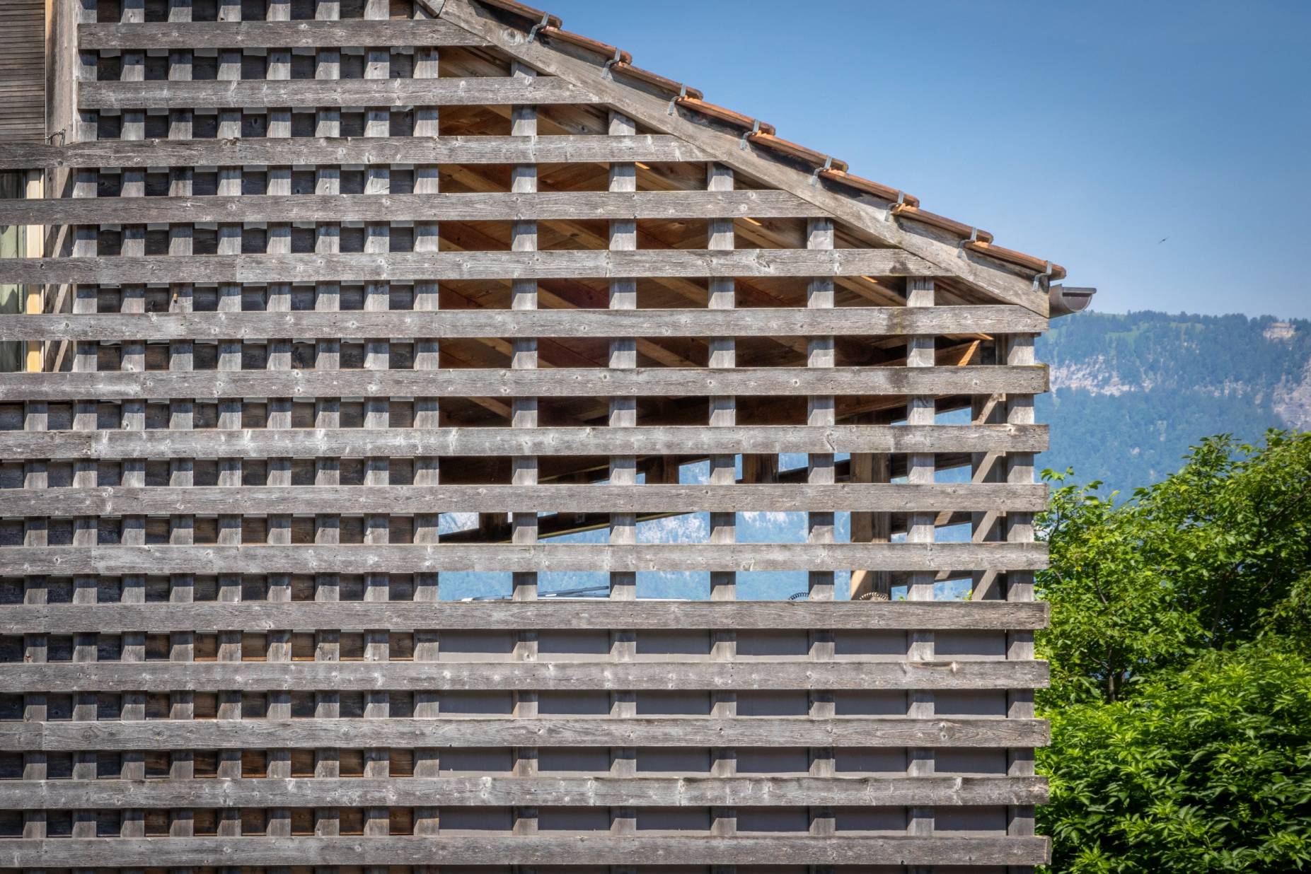 Laube. Foto: Elia Schneider, 2023