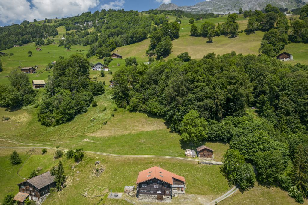 Übersicht. Foto: Elia Schneider, 2023
