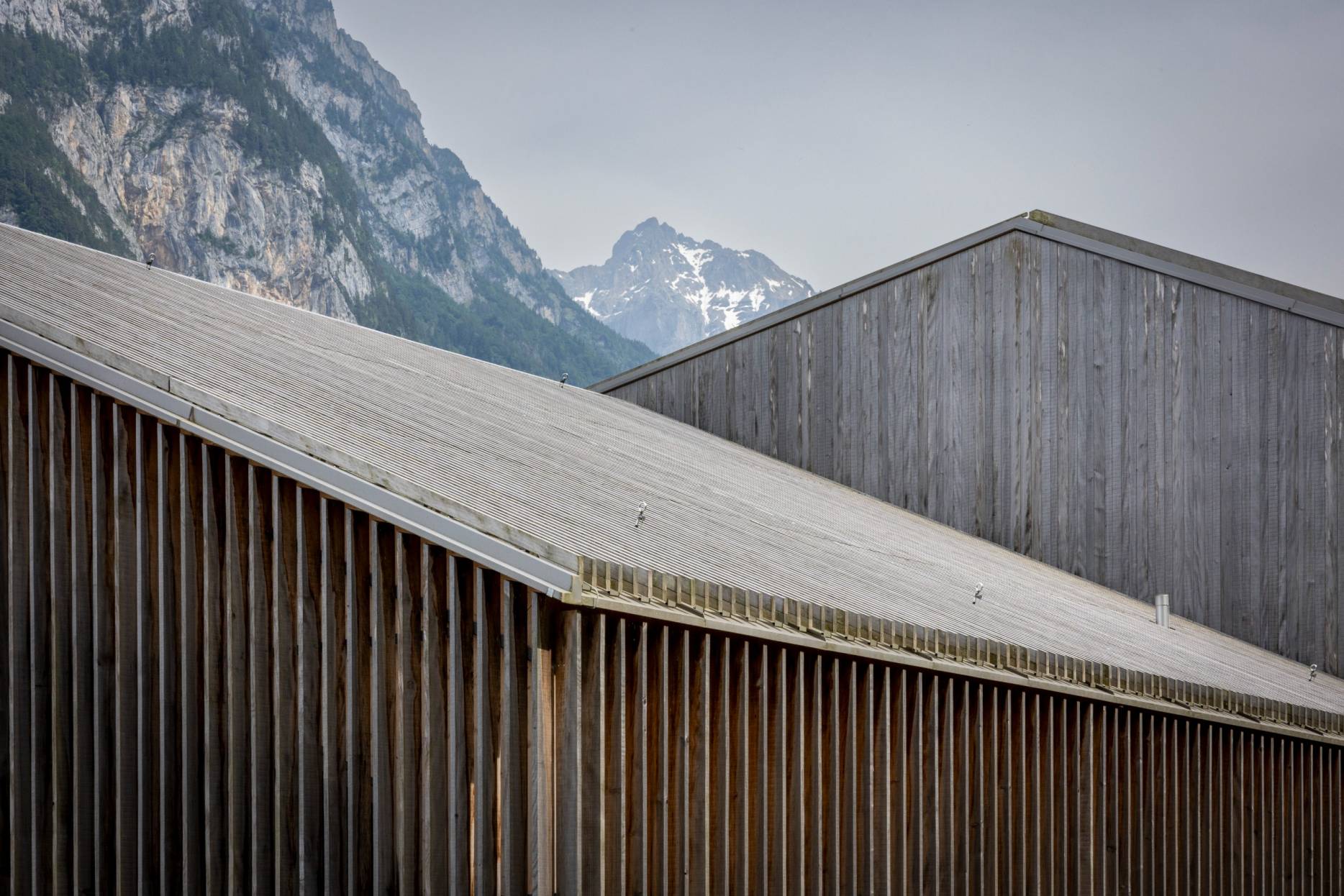 Dach. Foto: Elia Schneider, 2023