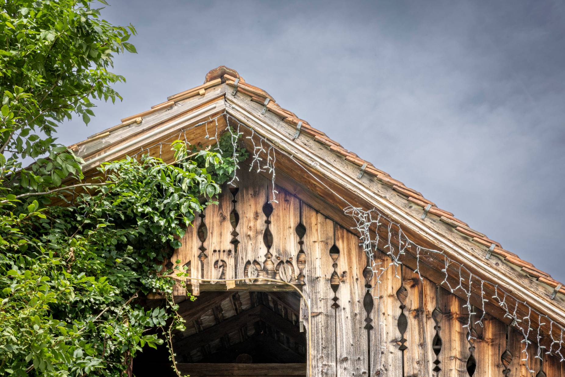 Giebel. Foto: Elia Schneider, 2023