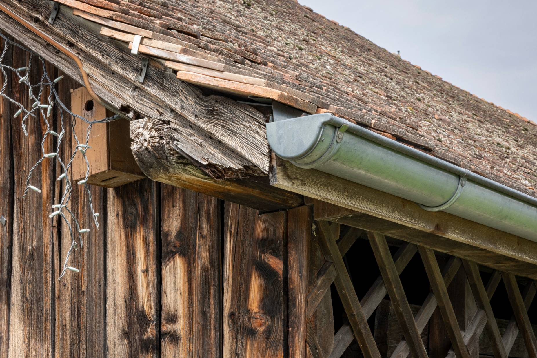 Dachrand. Foto: Elia Schneider, 2023