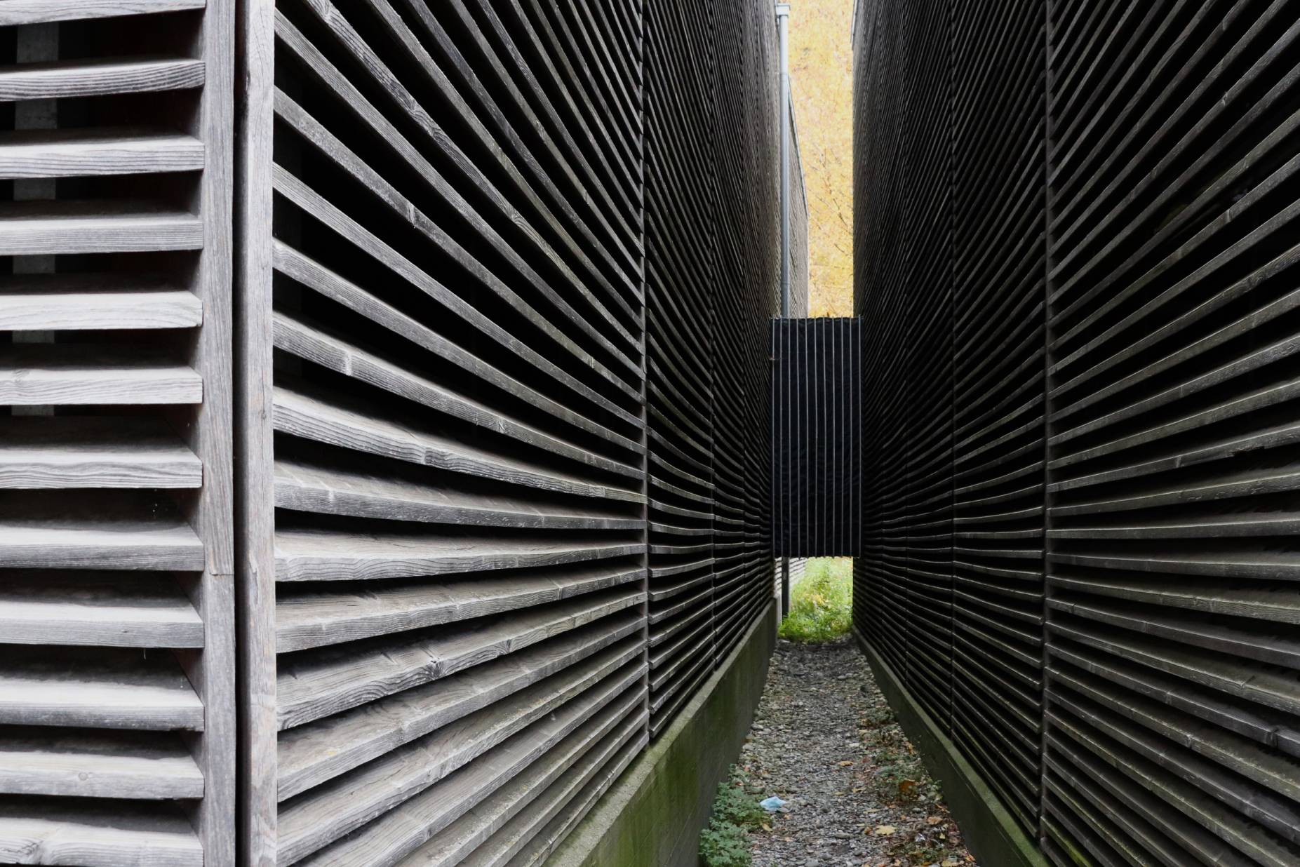 Fuge. Foto: Leonie Gasser, 2022