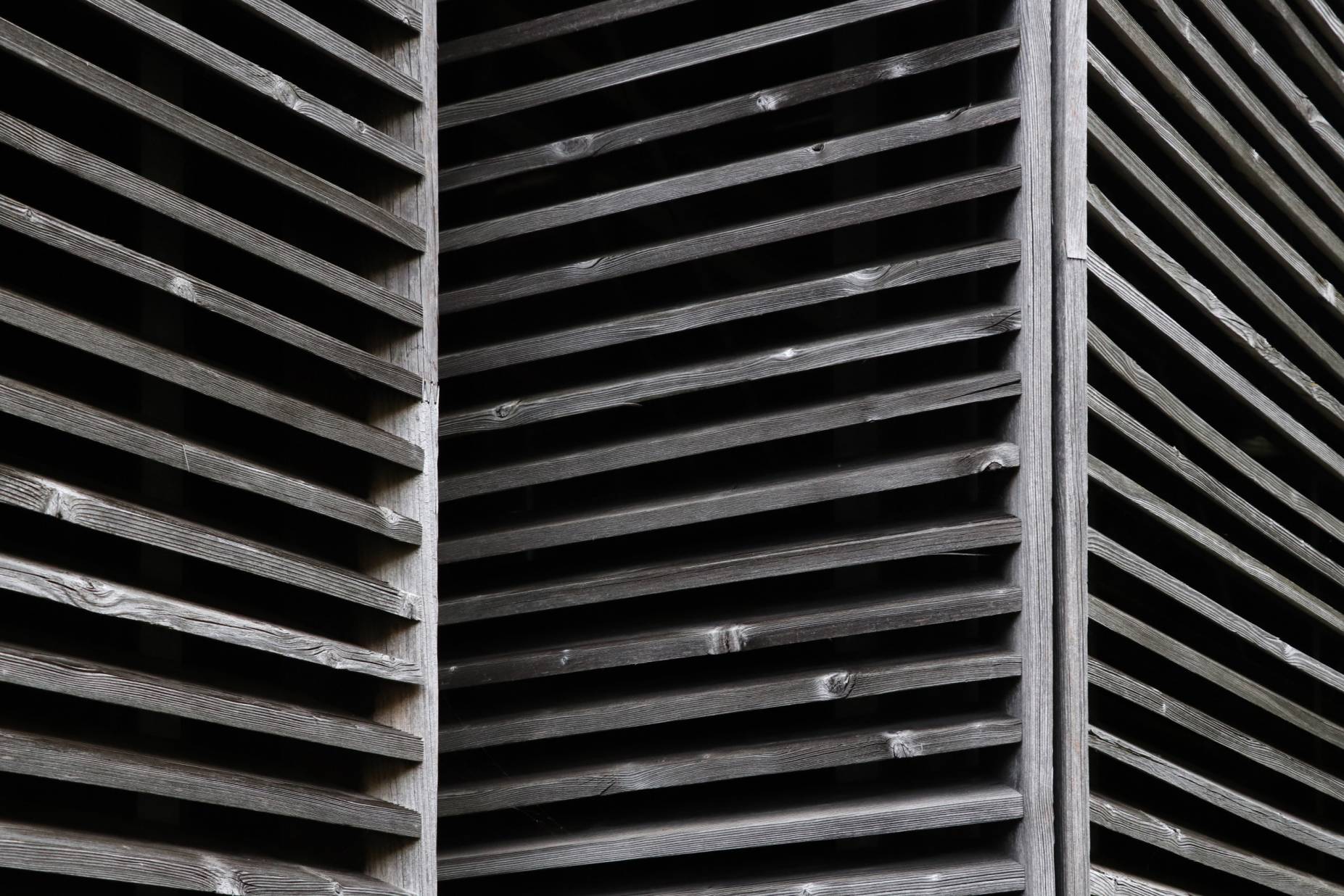 Lamellen. Foto: Leonie Gasser, 2022