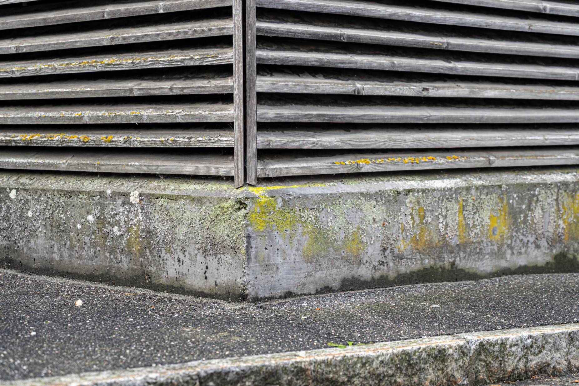 Sockel. Foto: Elia Schneider, 2022