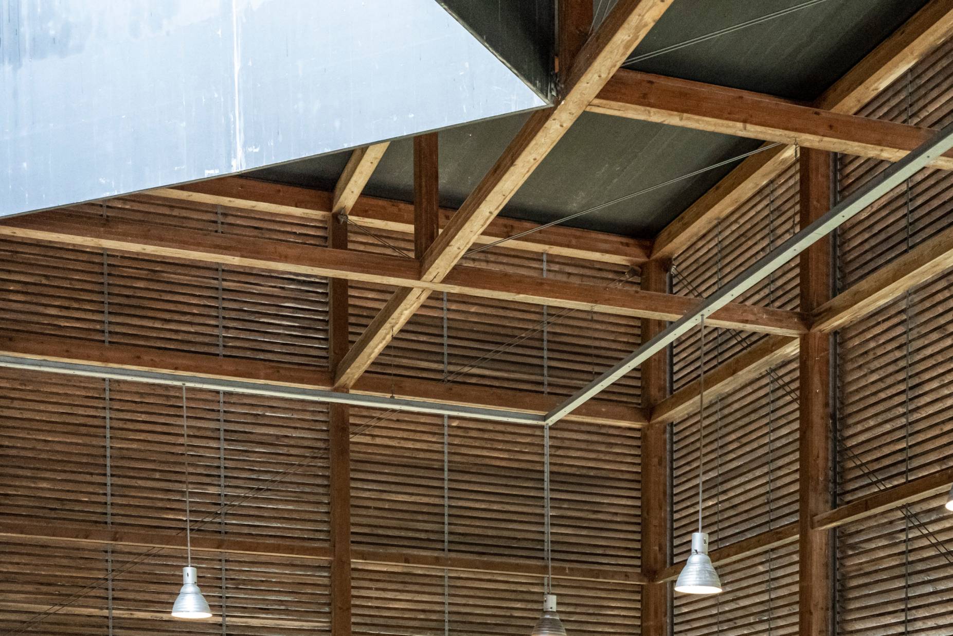Dachtragwerk. Foto: Elia Schneider, 2022
