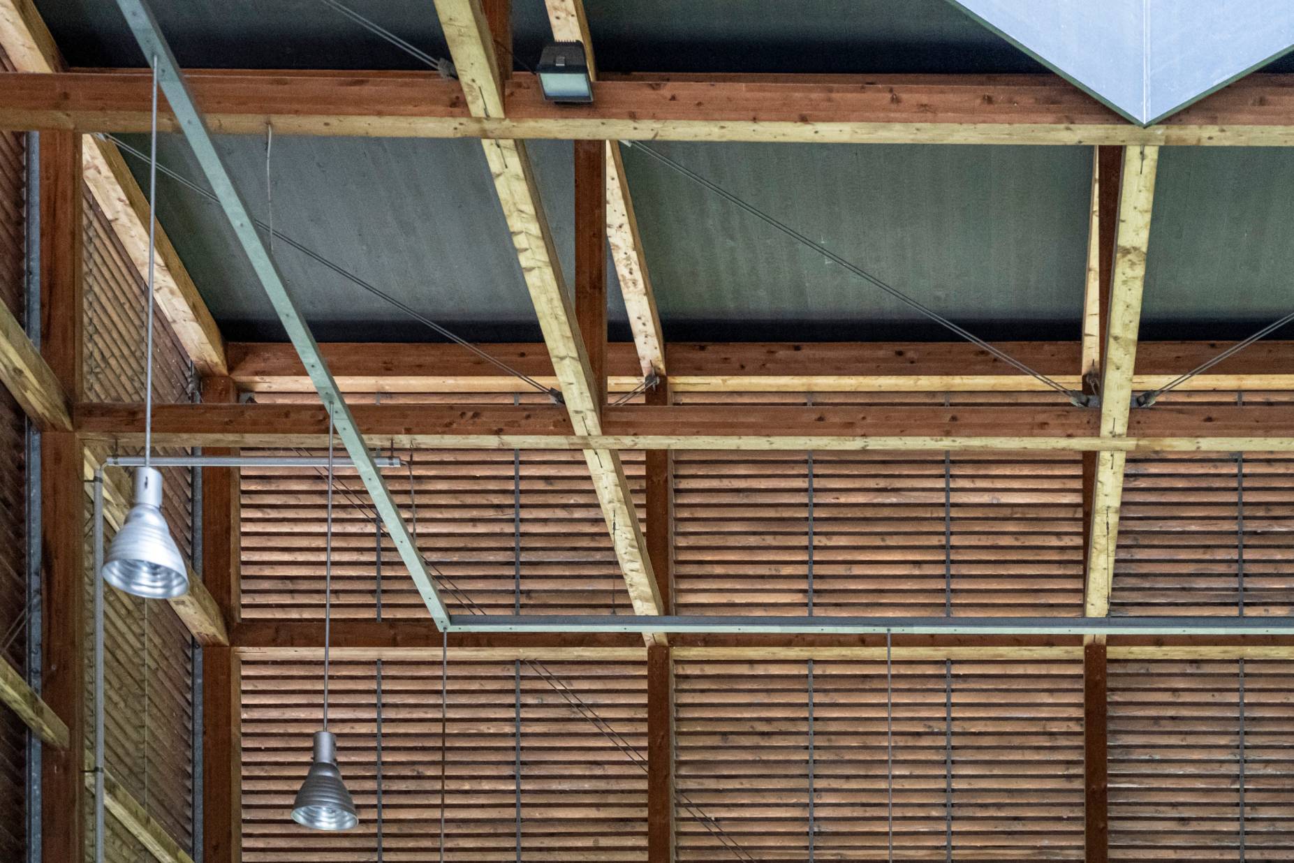 Dachtragwerk. Foto: Elia Schneider, 2022