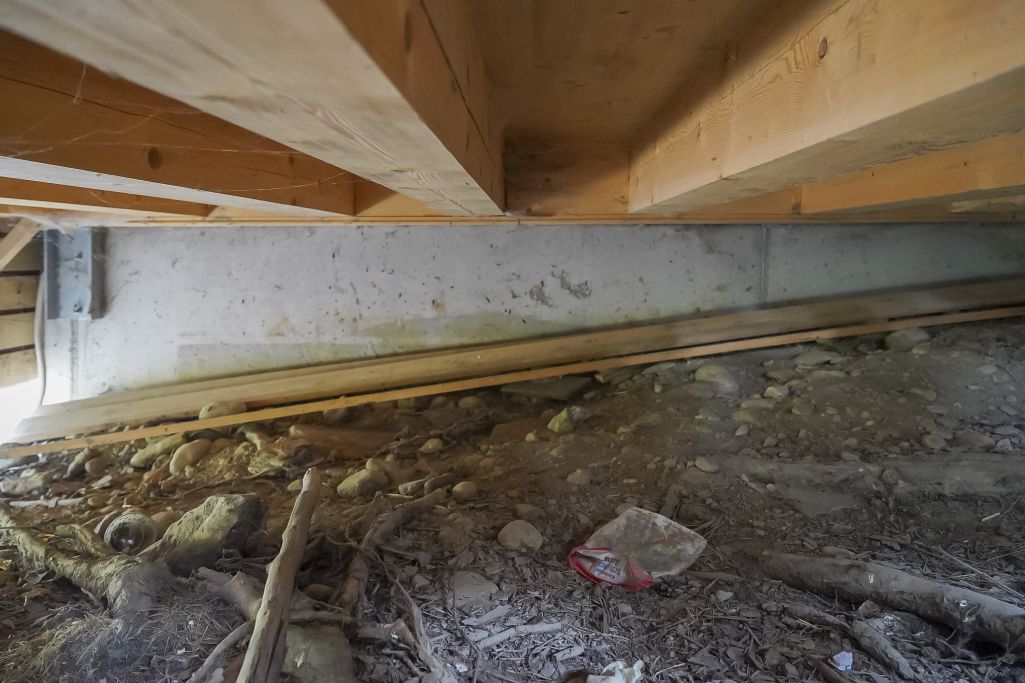 Kriechkeller mit Streifenfundament und Balkenlage. Foto: Elia Schneider, 2022