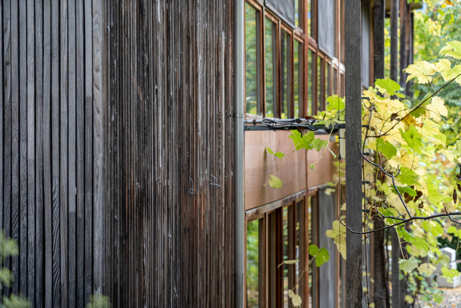 Glasfront. Foto: Elia Schneider, 2022