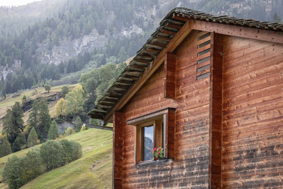 Giebel. Foto: Elia Schneider, 2023