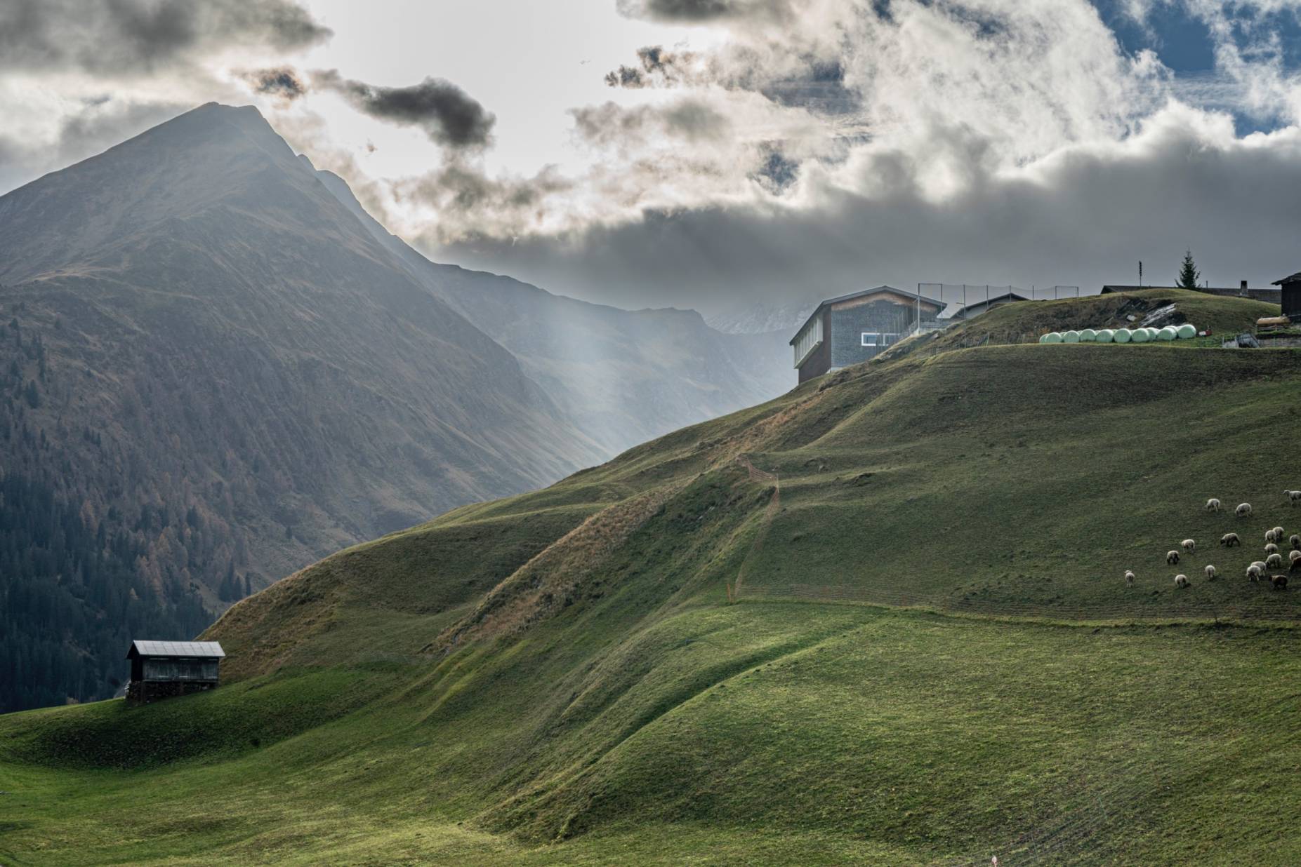 Mehrzweckhalle mit Schulgebäude im Kontext. Bild: Elia Schneider, 2022