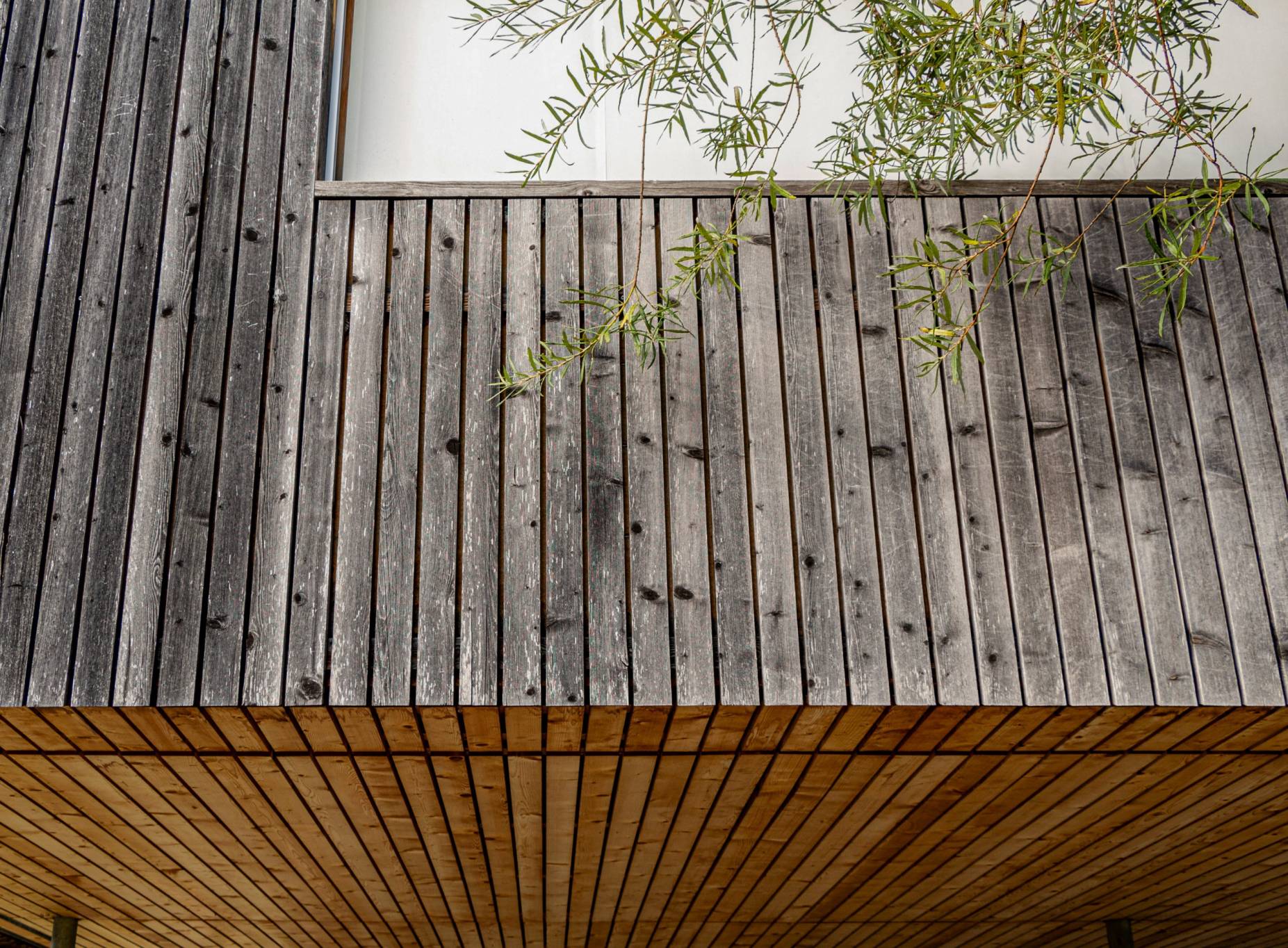 Fassade. Foto: Men Hermle, 2023